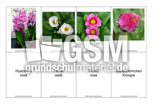 Blumen-Memo-Aufdeckspiel-12.pdf
